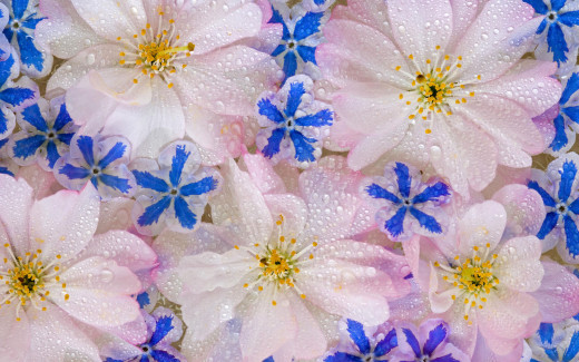 467299 (a): :1920x1200